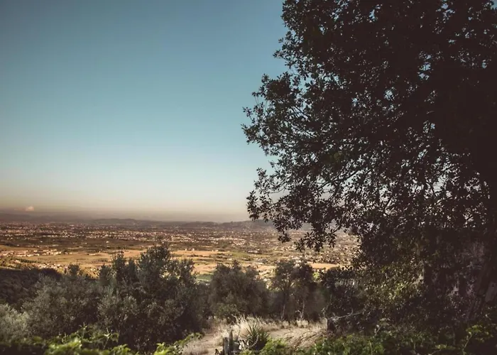 Chalet Rustic With Pool *